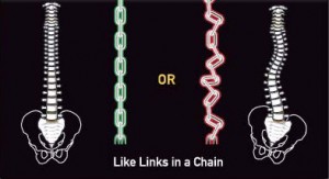 Chain Links - ABC